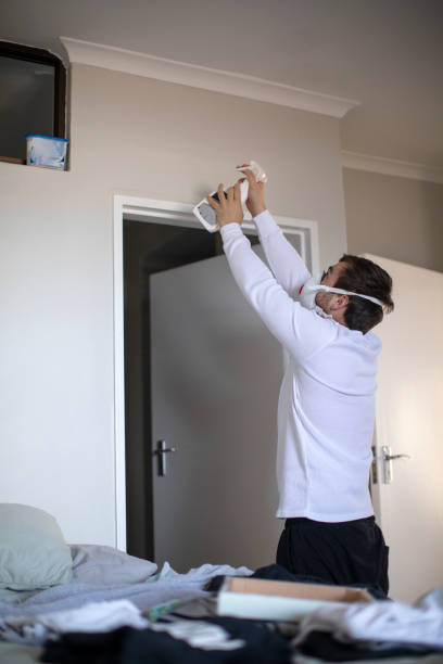 Best Residential Mold Inspection & Testing  in Bridgeport, AL