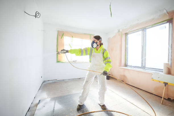 Environmental Consulting for Mold Prevention in Bridgeport, AL