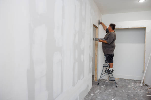 Best Mold-Related Health Consultation  in Bridgeport, AL