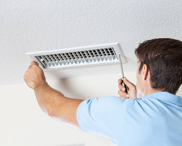 Best Mold Prevention Services  in Bridgeport, AL