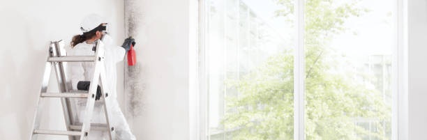 Best Air Quality Testing for Mold Spores  in Bridgeport, AL