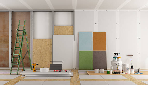 Best Basement Mold Removal  in Bridgeport, AL