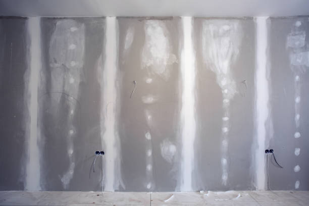 Best Airborne Mold Testing  in Bridgeport, AL